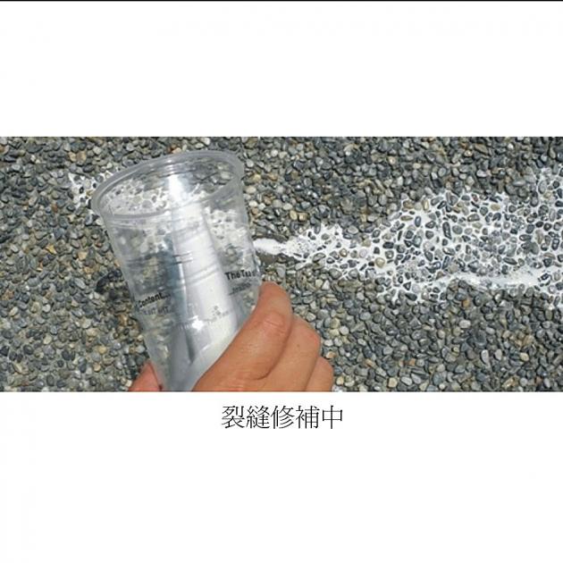 EX-22 水性環氧結構補強劑 2